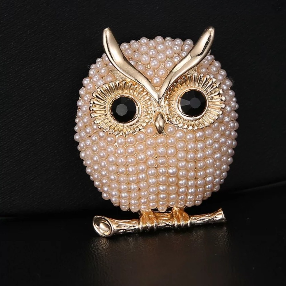 Owl brooch with faux pearls and rhinestones.NWT - Picture 2 of 3